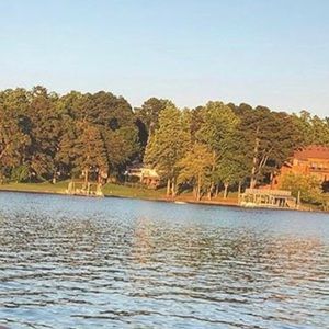 Meet your Posher, Laine